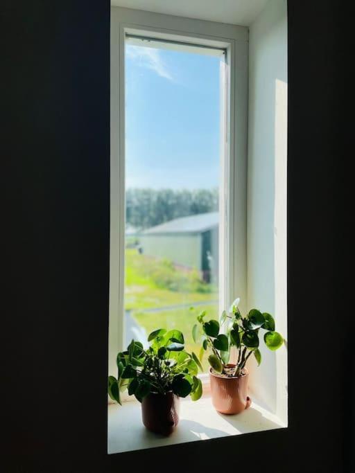 לונן אן דה וכט Cozy Appartment On The Farm מראה חיצוני תמונה